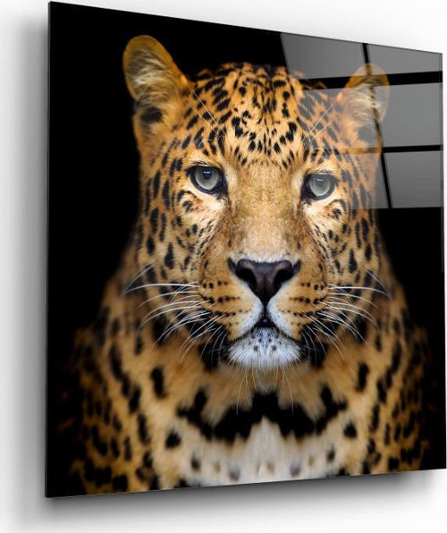 Leopar Cam Tablo | Hediyelik, Dekoratif, Ofis, Mutfak