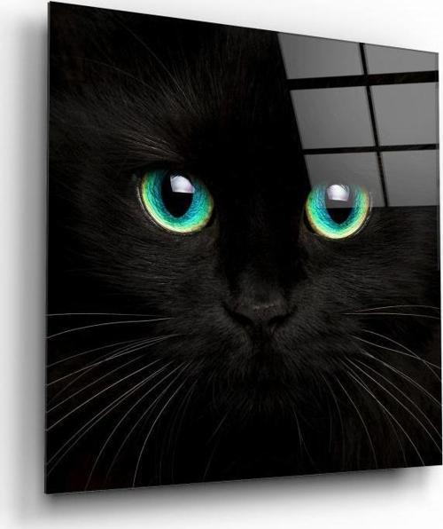 Kedi Cam Tablo | Hediyelik, Dekoratif, Ofis, Mutfak 