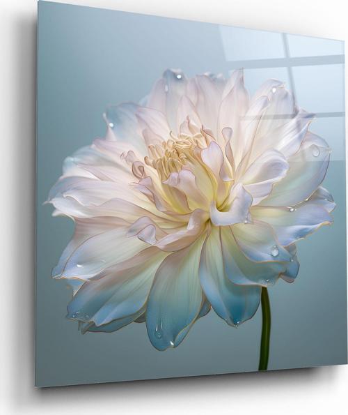 Çiçek Cam Tablo | Hediyelik, Dekoratif, Ofis, Mutfak