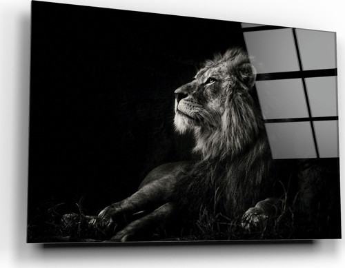 Aslan Cam Tablo | Hediyelik, Dekoratif, Ofis, Mutfak