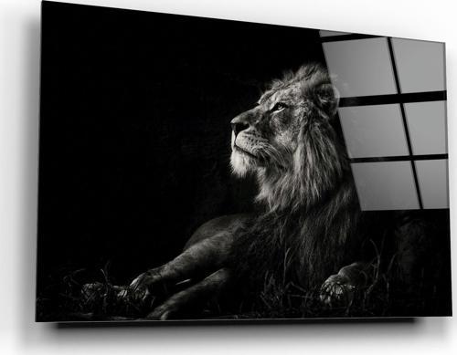 Aslan Cam Tablo | Hediyelik, Dekoratif, Ofis, Mutfak 