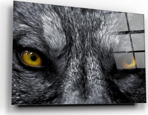 Kurt Cam Tablo | Hediyelik, Dekoratif, Ofis, Mutfak