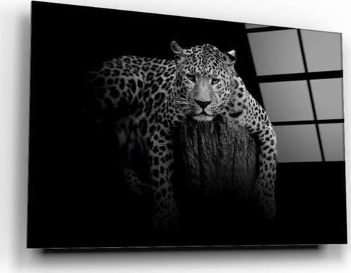 Leopar Cam Tablo | Hediyelik, Dekoratif, Ofis, Mutfak 