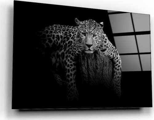Leopar Cam Tablo | Hediyelik, Dekoratif, Ofis, Mutfak