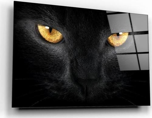 Kedi Cam Tablo | Hediyelik, Dekoratif, Ofis, Mutfak 