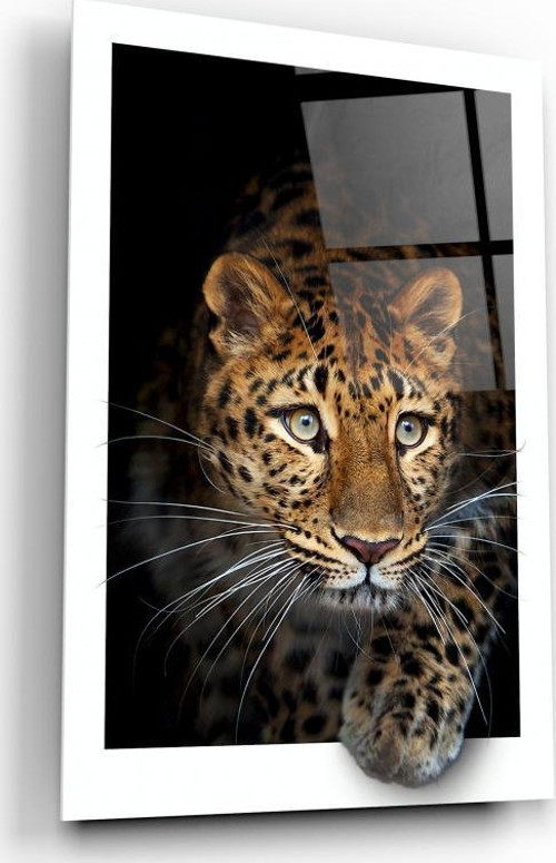 Leopar Cam Tablo | Hediyelik, Dekoratif, Ofis, Mutfak