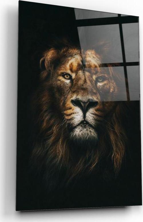 Aslan Cam Tablo | Hediyelik, Dekoratif, Ofis, Mutfak 