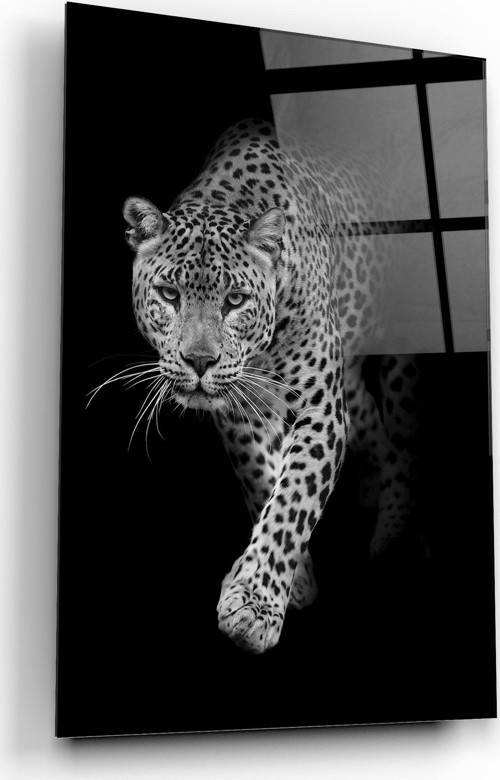 Leopar Cam Tablo | Hediyelik, Dekoratif, Ofis, Mutfak