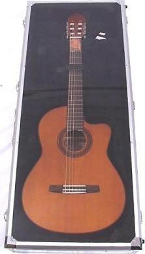 AKUSTİK GİTAR TEŞHİR ÇANTASI (DREADNOUGHT SHOW CAS