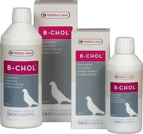 Verselelagaoropharma Versele Laga Oropharma B-Chol Güvercin (Karaciğer Sağlığı Koruyucu) 500Ml