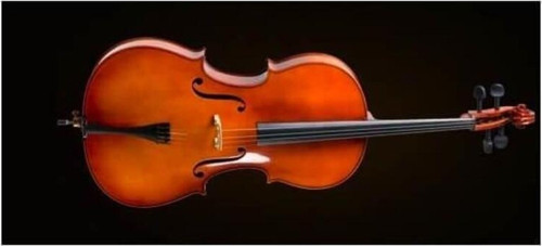 Ce400G14 Çello Kılıflı (Yay Reçine) 1/4 Alman Sistem