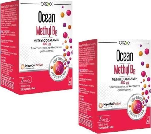 Methyl B12 500 Mcg Methylcobalamin 5 Ml - 2 Adet