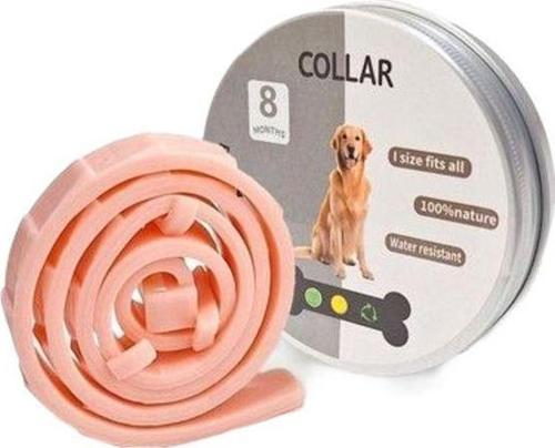 Köpek Anti Pire Kene Önleyici Tasma- Pire Önleyici Tasma-Kene Önleyici Tasma