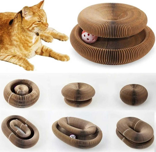 Kedi Tırmala Toplu Akordeon