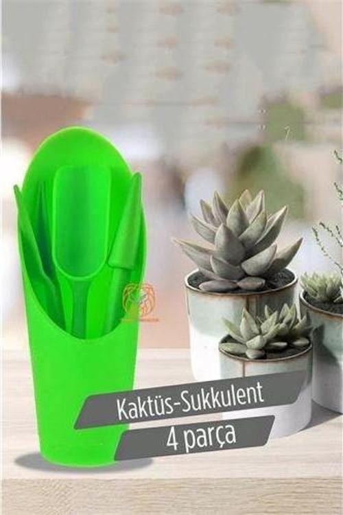 Kaktüs Sukkulent Dikim Seti