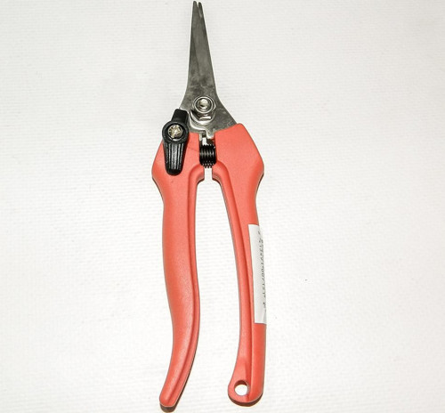1261 INOX Çiçek Meyve Hasat Makası - Düz Bıçaklı