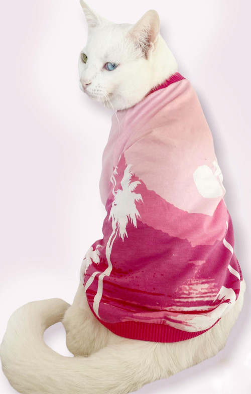 Nature Pink Oval Yaka Tişört Kedi Kıyafeti