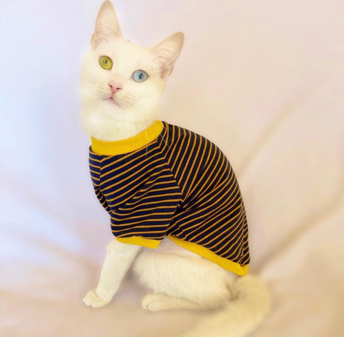 Navy Bee Stripes Oval Yaka Tişört Kedi Kıyafeti Kedi Elbisesi
