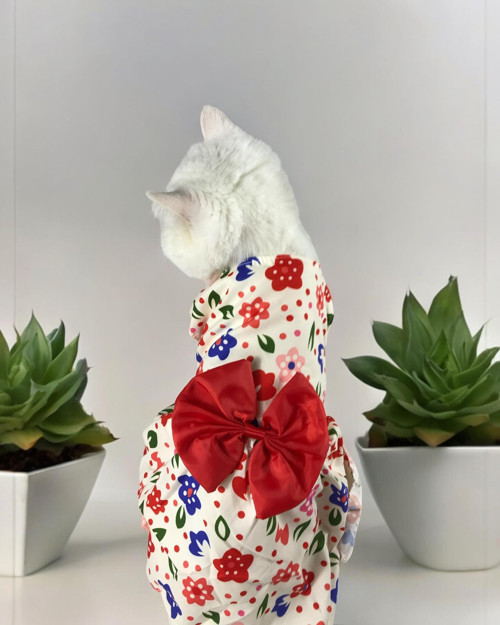 Cat Red Petal Kedi Elbisesi, Kıyafeti (Small 2-3 kg)