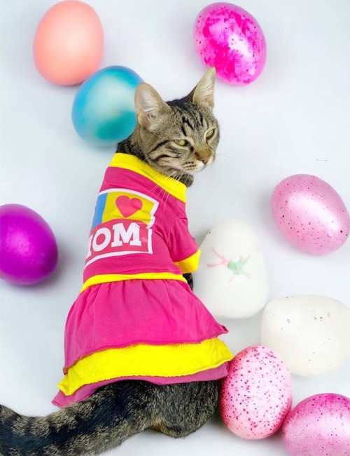 Anneler Günü Hediye Paketli, Anneye Hediye, Love Mom Pink Kedi Kıyafeti,Elbisesi Anneler Günü, Anne