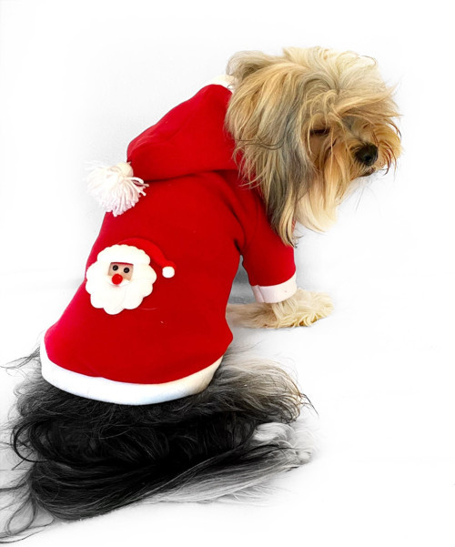 Noel Baba Kapşonlu Polar Yılbaşı Köpek Kıyafeti