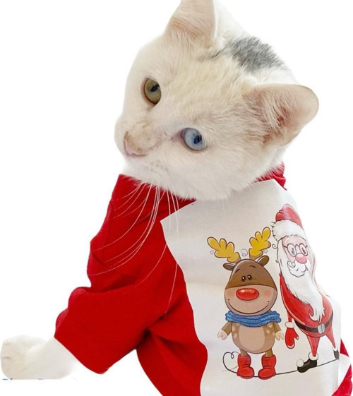 Noel Baba Ve Rudolph Kedi Tişörtü