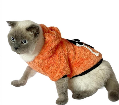 Orange Black Bunny Kapsonlu Sweatshirt Kedi Süeteri Kedi Kıyafeti
