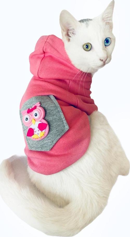 Pembe Baykuş Sweatshirt Kedi Süeteri Kedi Kıyafeti 