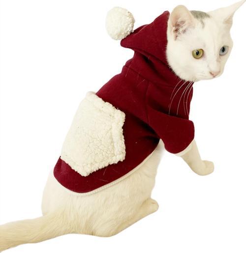 Cream Bordo Sweatshirt Kedi Süeteri Kedi Kıyafeti 