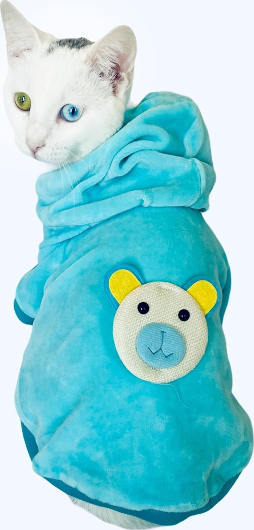 Blue Bear Sweatshirt Kedi Süeteri Kedi Kıyafeti