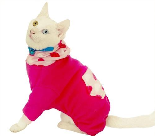 Pink Hearts Polar Kedi Tulumu Kedi Kıyafeti