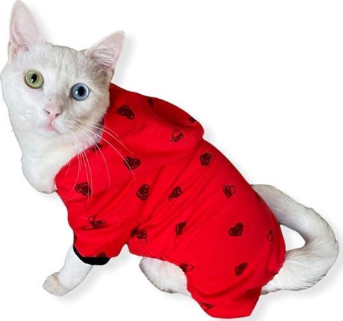 Darky Hearts Kırmızı Kapşonlu Penye Kedi Tulumu
