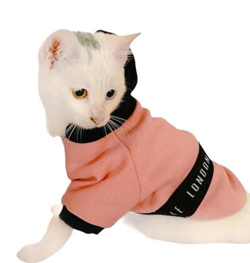 London Pineapple Kapsonlu Sweatshirt Kedi Süeteri Kedi Kıyafeti 