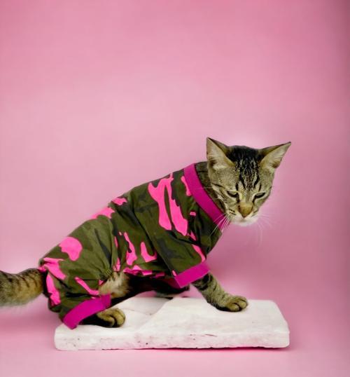 Pinky Camouflage Penye Tulum Kedi Tulumu Kedi Elbisesi