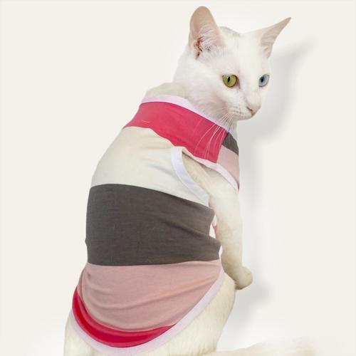 Mega Stripes Atlet by Kemique Kedi Kıyafeti Kedi Elbise