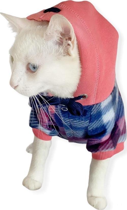 Mini Suqare Pie Kapşonlu Sweatshirt Ceket Kedi Süeteri Kıyafeti 