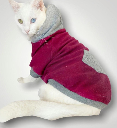 Burgundy Gray Kapşonlu Sweatshirt Kedi Kıyafeti
