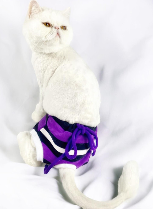Modern Purp Kemique's Secret Kedi İç Çamaşırı Regl Külot Don