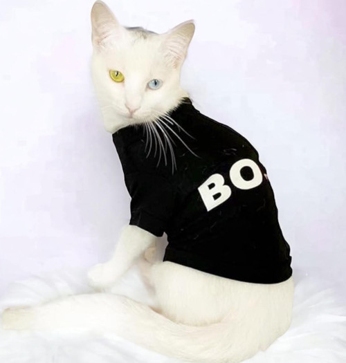 CAT Boss Kedi Tişört (Medium 3,5 - 4,5 Kg için)