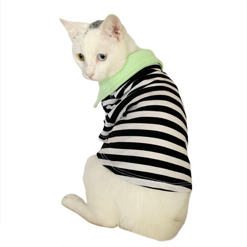 Grass Hopper Stripe Polo Yaka Tişört Kedi Kıyafeti Kedi Elbisesi