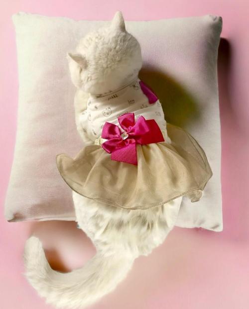 Cat Fuschia Creamy Tütülü Kedi Elbisesi (Large / 3,5 - 4,5 kg )