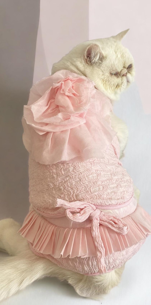 Rosie Rose Tişört ve İç Çamaşırı Set Kedi Kıyafeti Kedi Kostümü