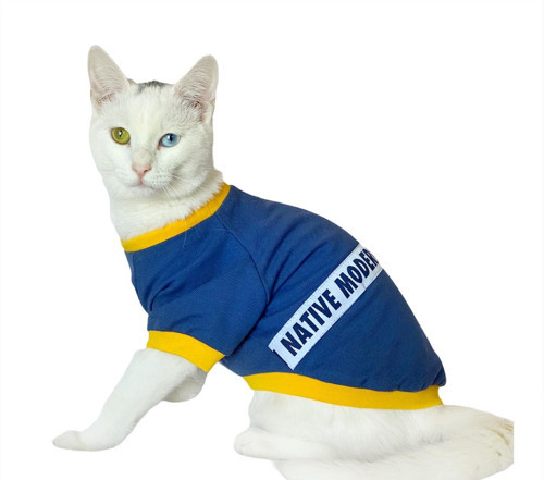 Native Blue Oval Yaka Tişört Kedi Kıyafeti Kedi Elbisesi