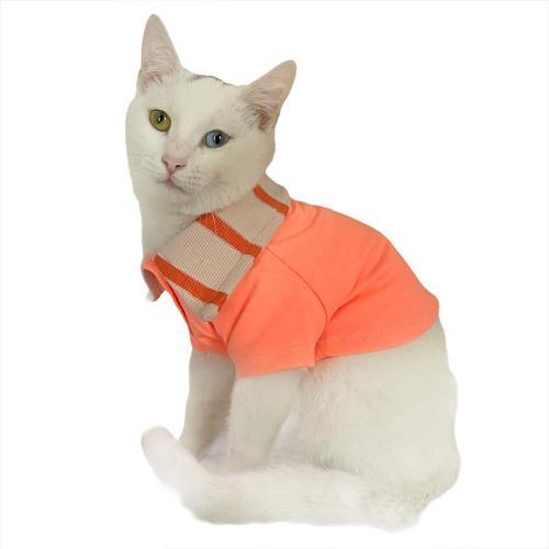Salmon Flash Polo Yaka Tişört Kedi Kıyafeti  Kedi Elbisesi