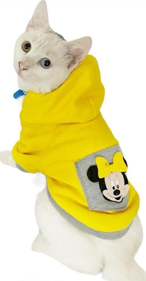 Sarı Sevimli Fare Kapsonlu Sweatshirt Kedi Süeteri Kedi Kıyafeti 