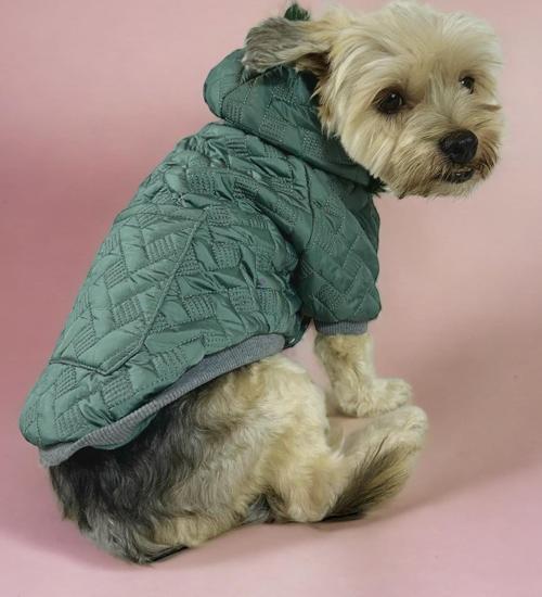 Green Comfie Köpek Montu, Köpek Ceketi, Köpek Dış Giyim