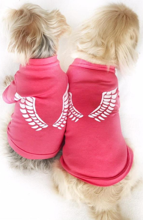 Melek Kanatlı Angel Köpek Tişört