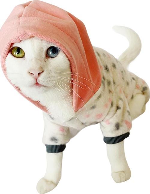 Softie Spotty Pink Kedi Tulumu Kedi Kıyafeti