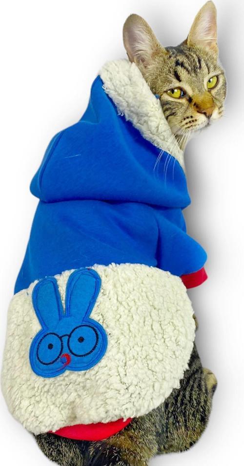 Sweet Blue Rabbit Sweatshirt Kapşonlu Kedi Kıyafeti Kedi Sweatshirt