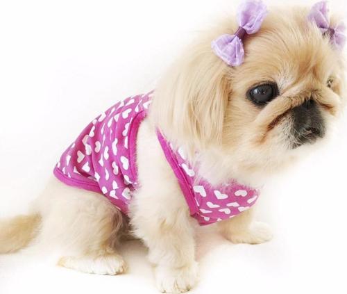 PURPLE HEARTS ATLET  by Kemique Köpek Kıyafeti  Köpek Elbisesi